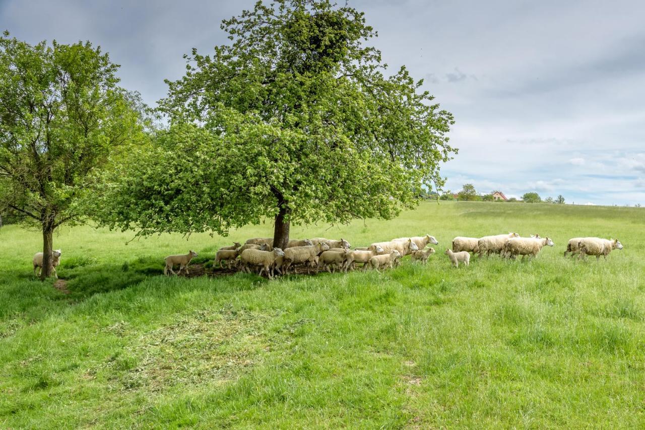 Agroturistika - "Domecek U Ovecek" Villa Horní Těrlicko Eksteriør bilde